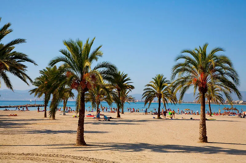 Whala!Beach El Arenal  Hotel El Arenal (Mallorca)